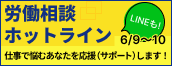 �z�b�g���C��